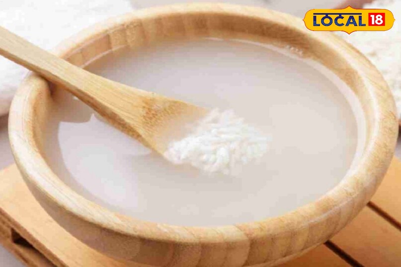 पाचन क्रिया