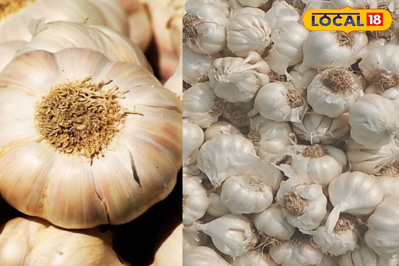 Meerut, Ayurveda, Long, Ginger, Garlic, Cinnamon, Uses, Disease, Relief, Local-18, Meerut, Ayurveda, Clove, Ginger, Garlic, Cinnamon, Use, Disease, Relief, Local-18