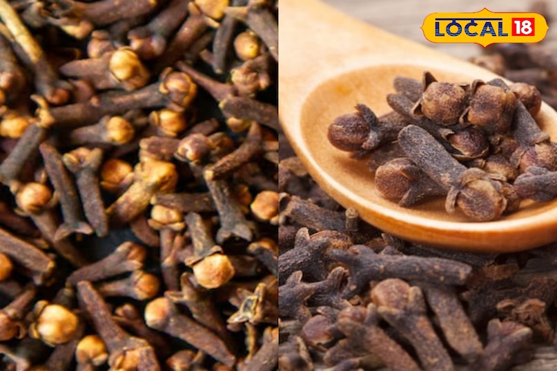 Meerut, Ayurveda, Clove, Ginger, Garlic, Cinnamon, Uses, Disease, Relief, Local-18, Meerut, Ayurveda, Clove, Ginger, Garlic, Cinnamon, Use, Disease, Relief, Local-18