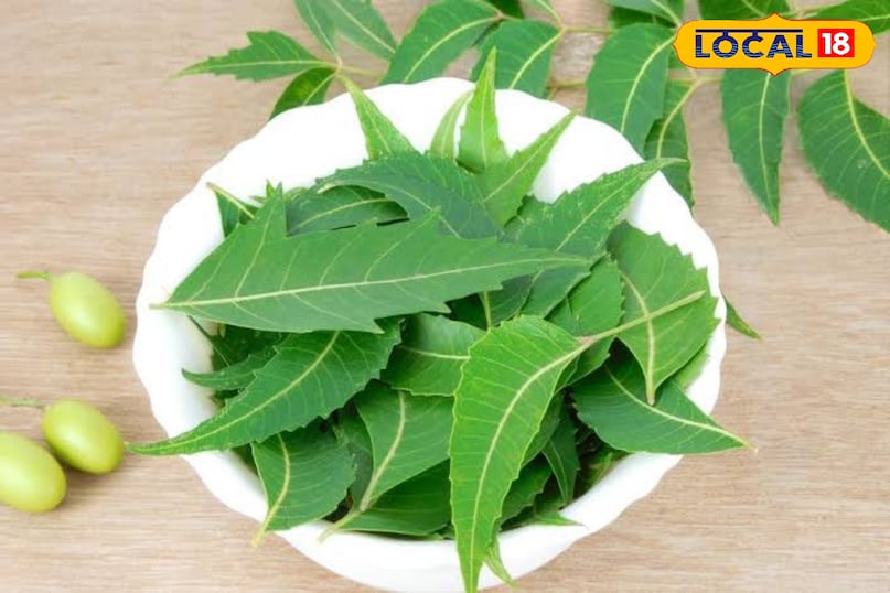 These 4 big problems will be overcome by eating stale mouth neem leaves, know benefits These 4 big problems will be overcome by eating stale mouth neem leaves, know benefits