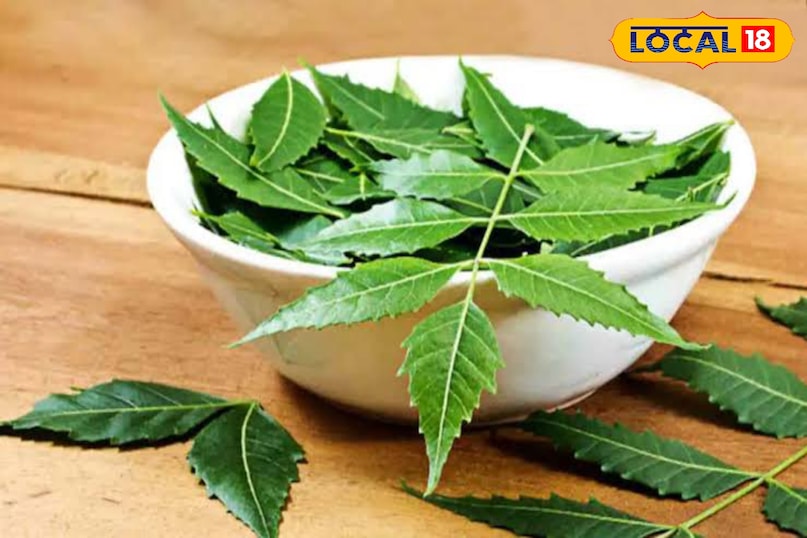 These 4 big problems will be overcome by eating stale mouth neem leaves, know benefits 
