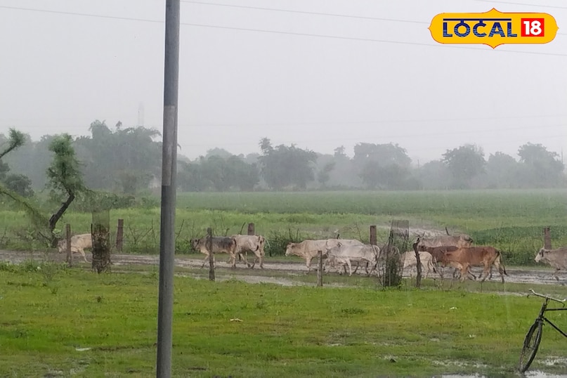 बारिश का इंतजार