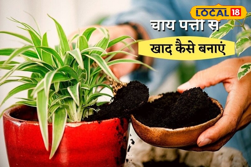 ऑर्गेनिक खाद का करती काम 