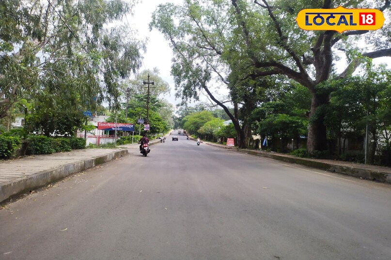 पोषक तत्व 