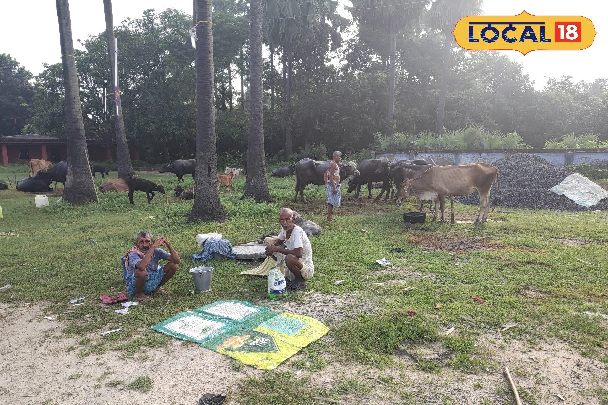 गंगा की विकराल लहरों से फिर बार तबाही, घर छोड़.. पलायन को मजबूर ग्रामीण