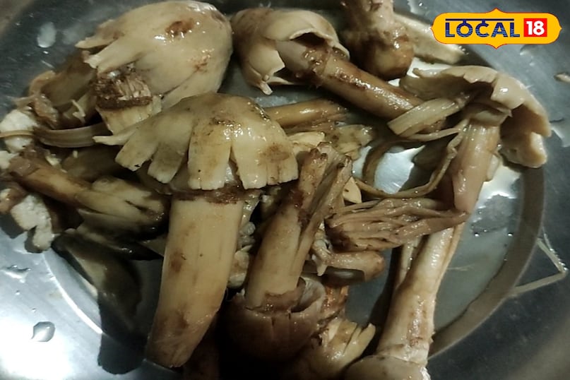 Bastaria style dengoor chest recipe Bastaria style dengoor chest recipe