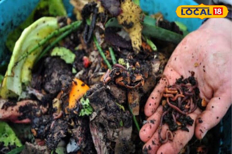 यह खाद पूरी तरह प्राकृतिक होती है