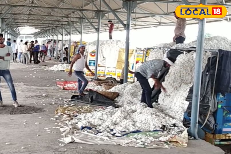 Khargone Cotton Market, Cotton Farmer App, Cotton MSP 2025, Cotton Slot Booking online, Cotton Registration Online, White Gold Cotton, local18, khargone letest news, Madhya Pradesh hindi news 