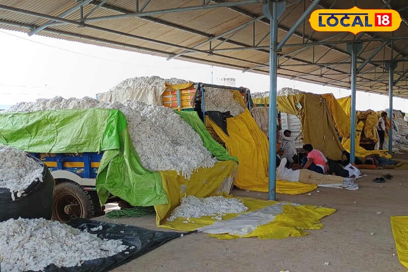 Khargone Cotton Market, Cotton Farmer App, Cotton MSP 2025, Cotton Slot Booking online, Cotton Registration Online, White Gold Cotton, local18, khargone letest news, Madhya Pradesh hindi news 