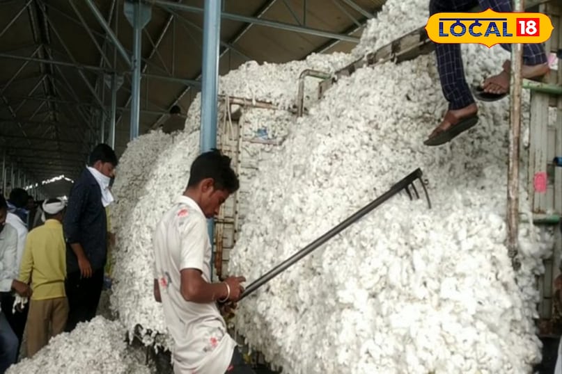 Khargone Cotton Market, Cotton Farmer App, Cotton MSP 2025, Cotton Slot Booking online, Cotton Registration Online, White Gold Cotton, local18, khargone letest news, Madhya Pradesh hindi news 