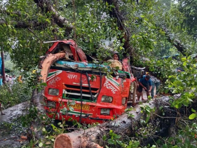 बाराबंकी में दर्दनाक सड़क हादसा, चलती बस पर गिरा पेड़, चालक समेत 5 की मौत