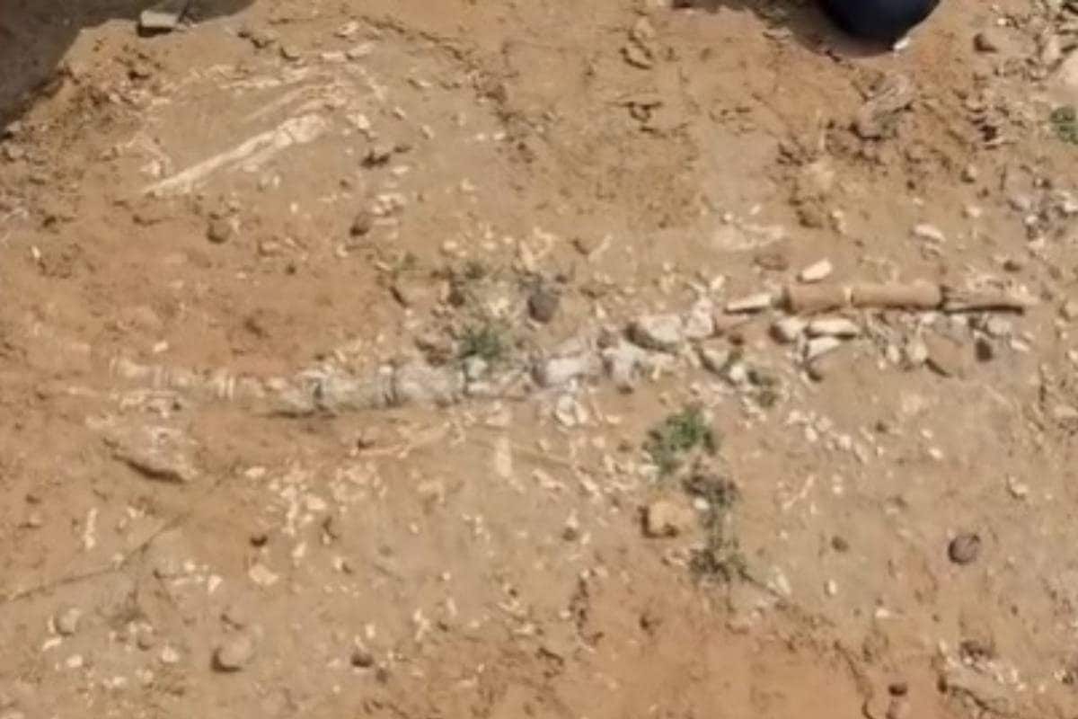 जैसलमेर में खुदाई में मिला करोड़ों साल पुराना हड्डियों का स्ट्रक्चर डायनासोर!