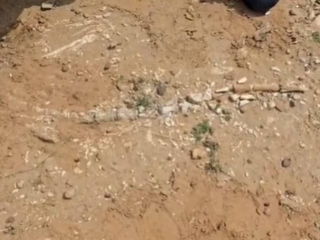 जैसलमेर में खुदाई में मिला करोड़ों साल पुराना हड्डियों का स्ट्रक्चर, डायनासोर!