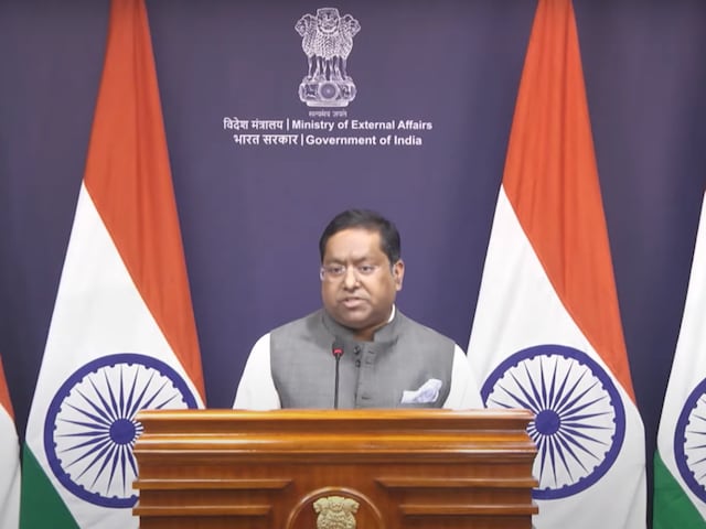 'भारत के दखल से टली निमिषा प्रिया की सजा, पर मामला अब भी नाजुक', MEA का बयान