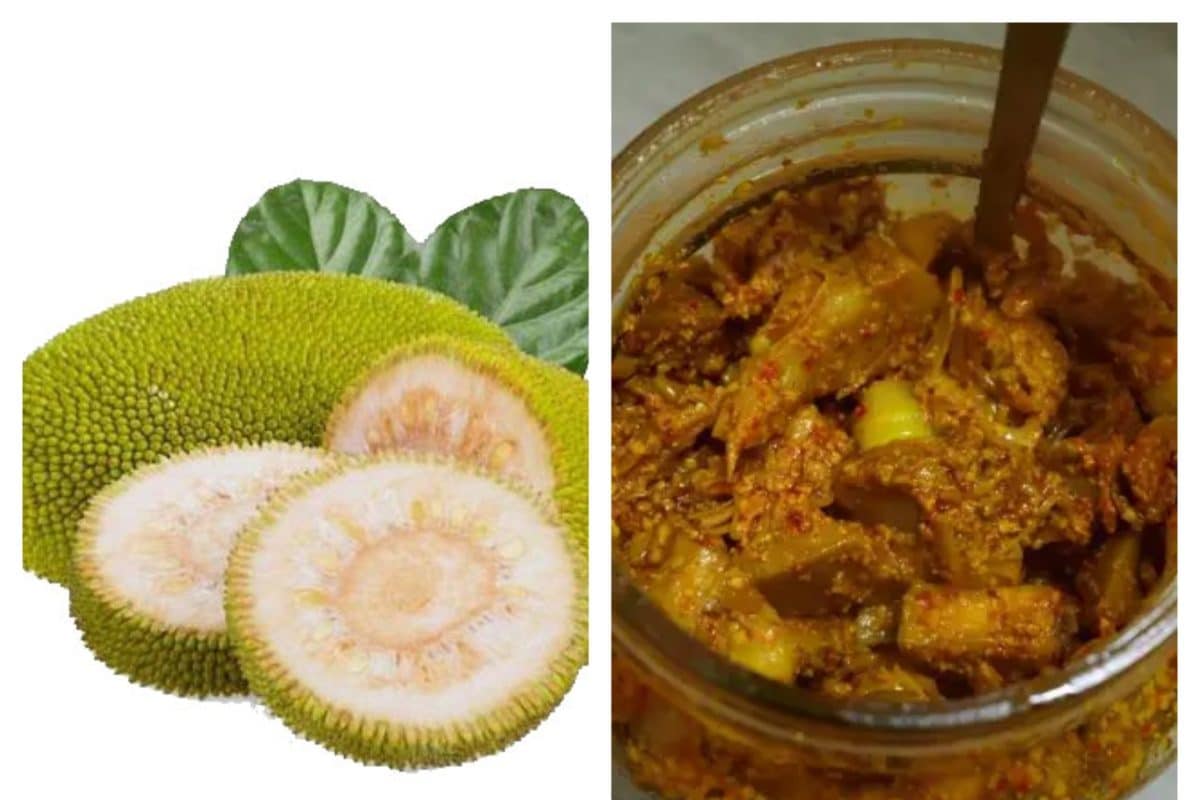 Achar Recipe: सब्जी ही नहीं.. कटहल का अचार भी होता टेस्टी, बनाना भी आसान