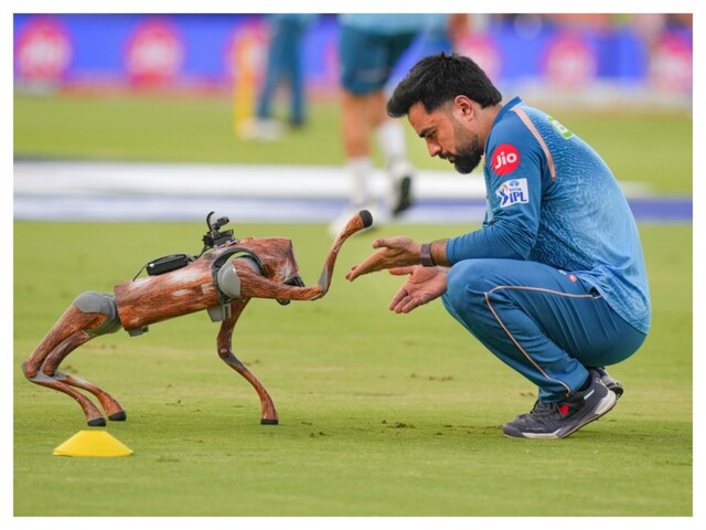 VIDEO: Rashid Khan's magic ends, Liam hit 26 runs in 5 balls