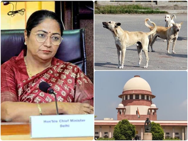 दिल्ली में कैसे लागू होगा आवारा कुत्तों पर सुप्रीम कोर्ट का आदेश?जान लें प्लान दिल्ली में कैसे लागू होगा आवारा कुत्तों पर सुप्रीम कोर्ट का आदेश?जान लें प्लान