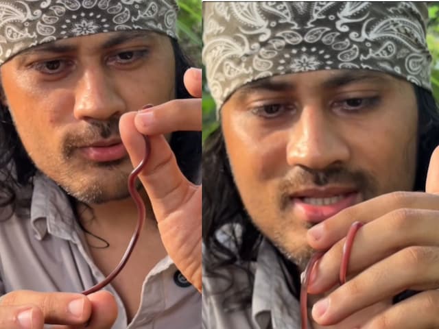 शख्स ने पकड़ा छोटा सा सांप, बताया कि कितना जहरीला है ये, और भी बताए इसके चौंका शख्स ने पकड़ा छोटा सा सांप, बताया कि कितना जहरीला है ये, और भी बताए इसके चौंका