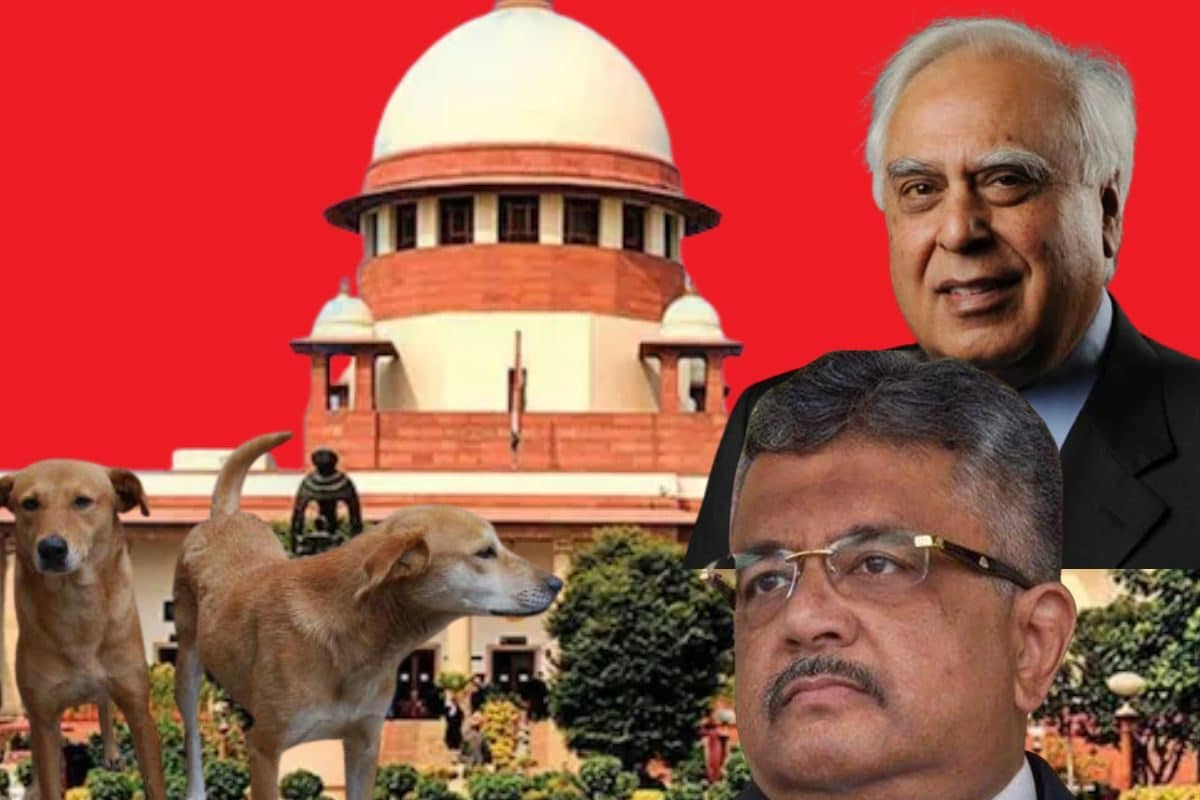 चिकन-मटन खाने वालेआवारा कुत्तों पर SC से बोले SG कपिल ने भी दी सॉलिड दलील