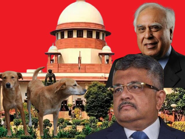 चिकन-मटन खाने वाले...आवारा कुत्तों पर SC से बोले SG, कपिल ने भी दी सॉलिड दलील