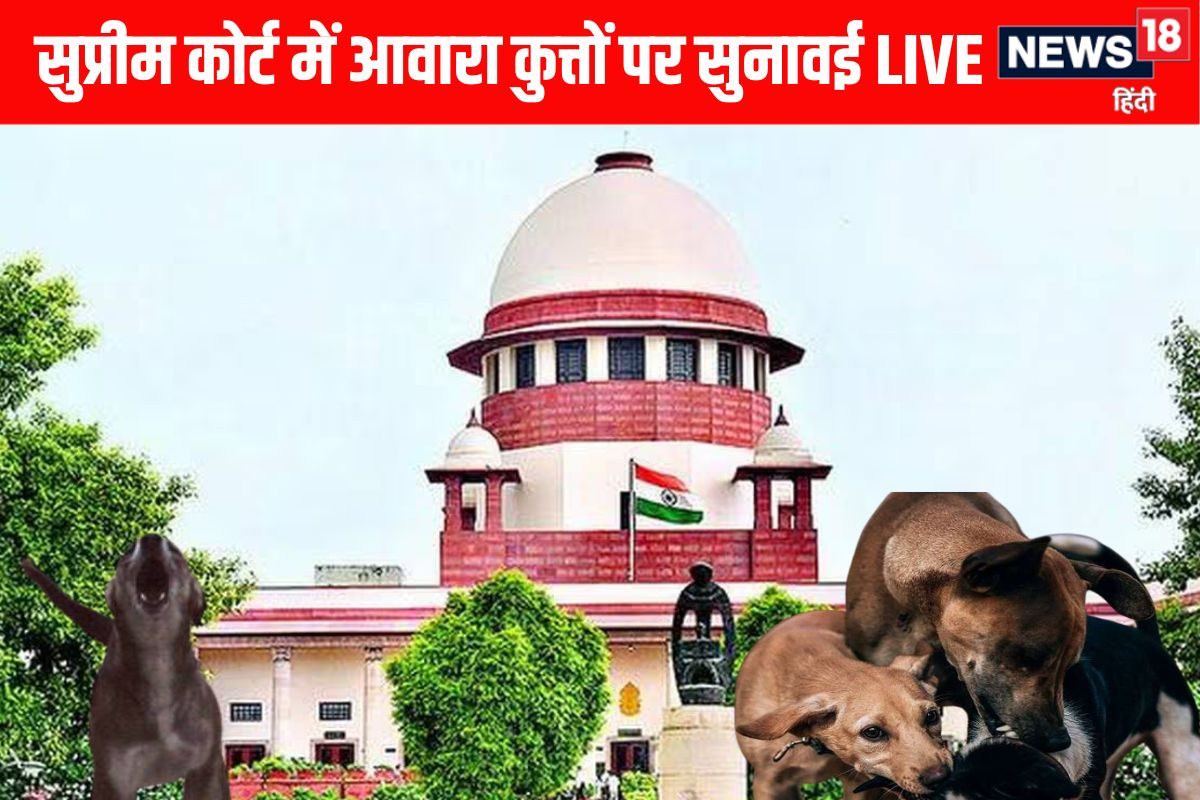 LIVE: आवारा कुत्तों पर सुप्रीम फैसला आज डॉग लवर्स को मिलेगा झटका या राहत
