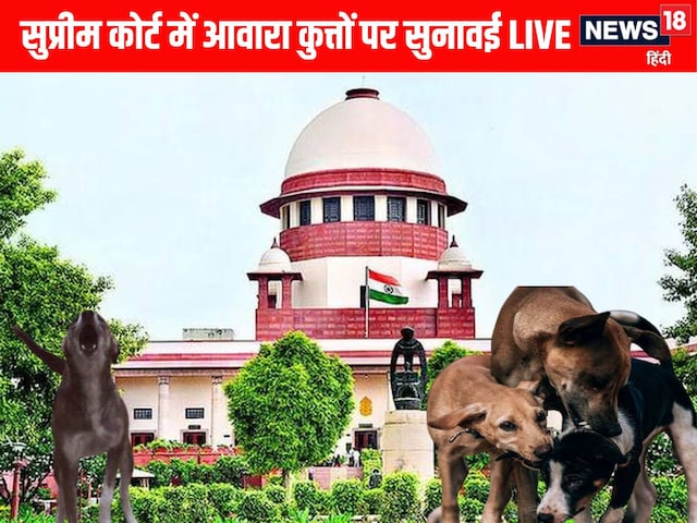 आवारा कुत्तों पर 'सुप्रीम' फैसला आज, डॉग लवर्स को मिलेगा झटका या राहत आवारा कुत्तों पर 'सुप्रीम' फैसला आज, डॉग लवर्स को मिलेगा झटका या राहत