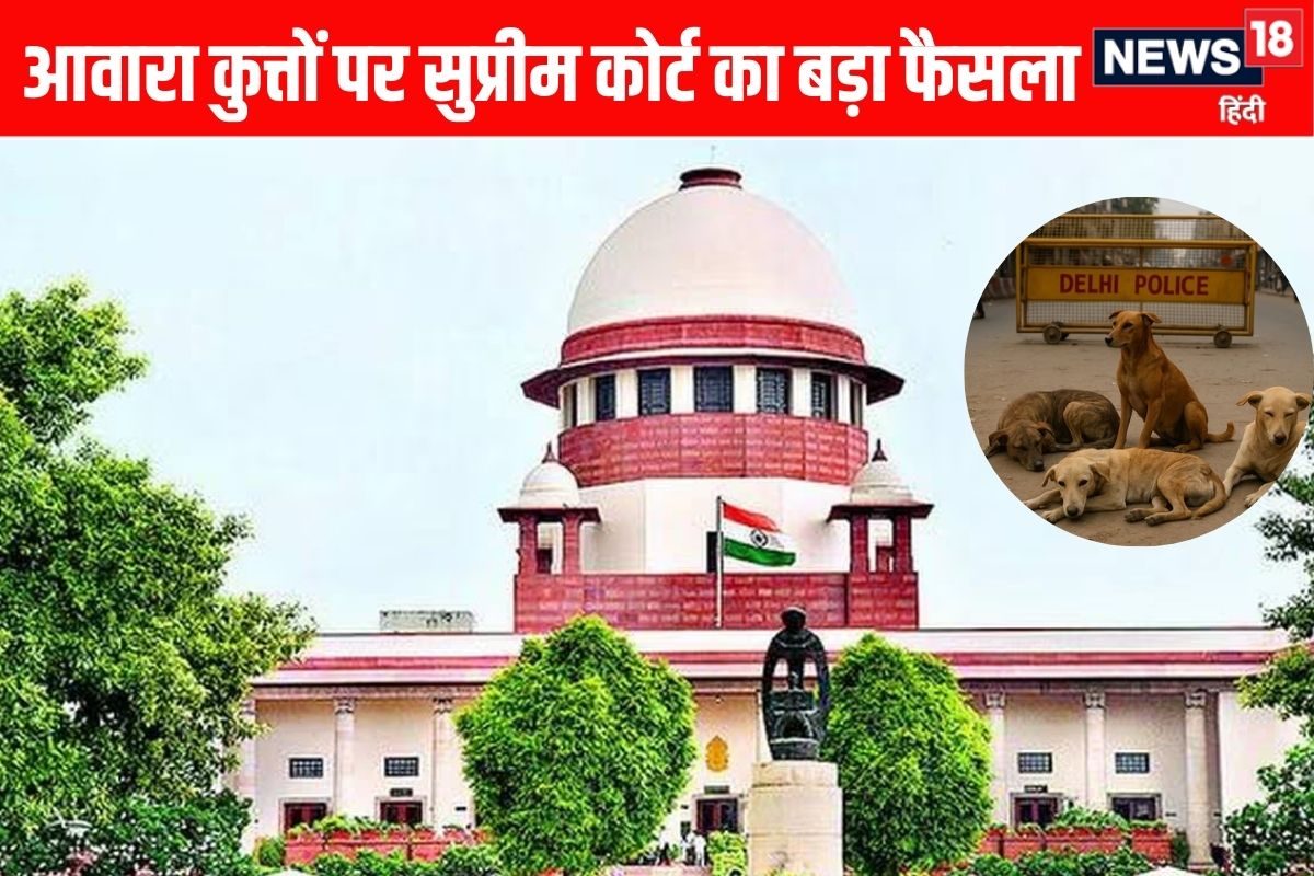 शेल्टर होम भेजे गए कुत्ते छोड़े जाएंगे! आवारा डॉग्स पर SC का बड़ा फैसला