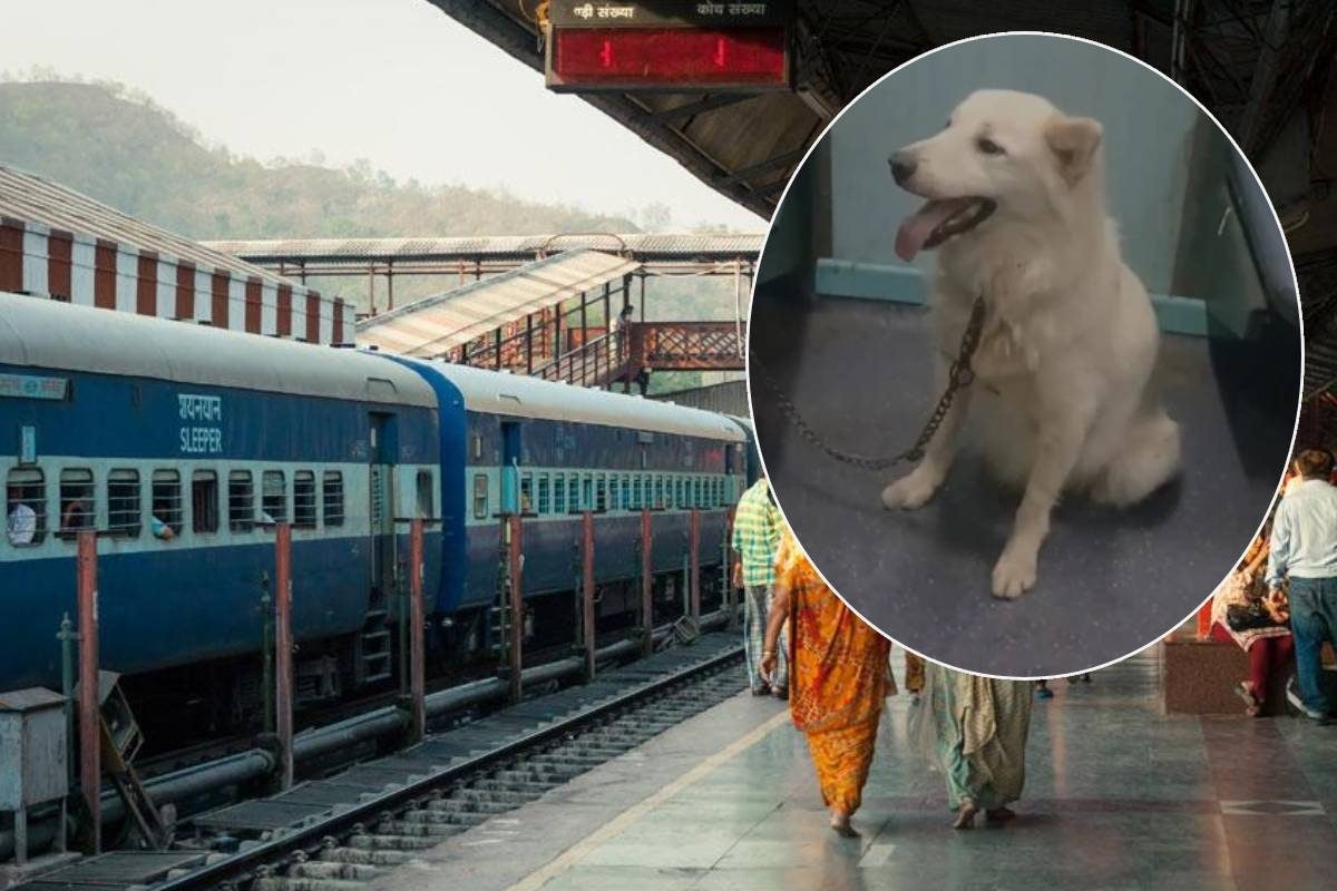 ट्रेन में बंधा मिला कुत्ता, लेट हुई गाड़ी तो रेलवे ने ढूंढा अनोखा इलाज