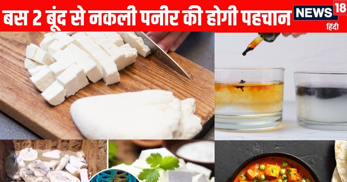 त्योहारों पर नकली पनीर खाकर हो न जाएं बीमार, 2 बूंद इस घोल का डालें, पनीर का रंग बदला तो तुरंत करें FSSAI को कॉल
