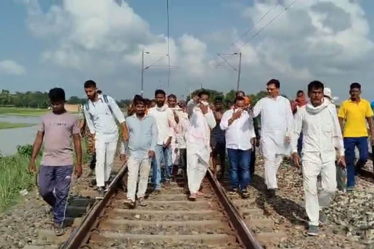 404 भेड़ों को कुचलती हुई निकली ट्रेन, बिलखते हुए मालिक ने बताई आपबीती