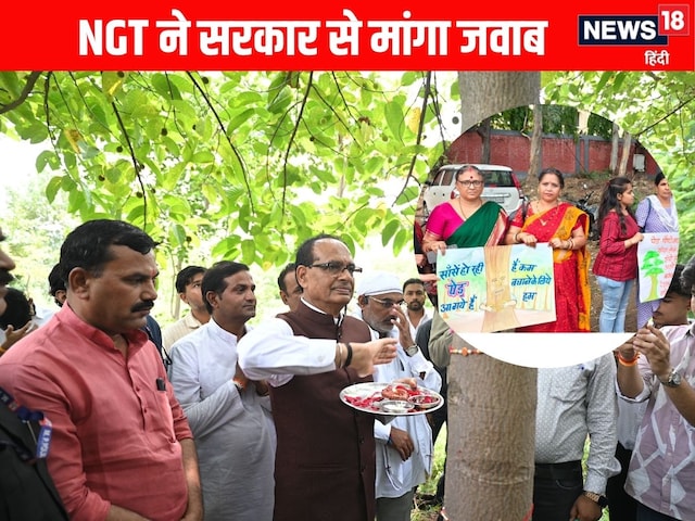 रोड चौड़ीकरण के लिए क्या पेड़ काटना जरूरी? NGT ने मांगा जवाब रोड चौड़ीकरण के लिए क्या पेड़ काटना जरूरी? NGT ने मांगा जवाब