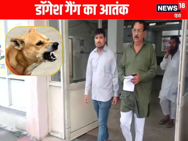 अजब-गजबः दुकानदार को काटने के बाद कुत्ते की मौत, साथी बोले-पहली बार ऐसा देखा अजब-गजबः दुकानदार को काटने के बाद कुत्ते की मौत, साथी बोले-पहली बार ऐसा देखा