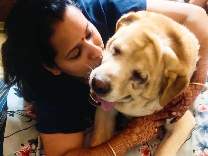 1. क्या घर में कुत्ते पालने के लिए लाइसेंस जरूरी है? देश के कई शहरों में कुत्ता पालने के लिए लाइसेंस लेना जरूरी है. वहीं खासतौर पर दिल्ली के लिए दिल्ली म्यूनिसिपल कॉर्पोरेशन एक्ट के सेक्शन 399 के मुताबिक पालतू कुत्तों का रजिस्ट्रेशन कराना अनिवार्य है. रजिस्ट्रेशन के बाद एमसीडी पेट ऑनर को रजिस्ट्रेशन सर्टिफिकेट या लाइसेंस जारी करती है. 

