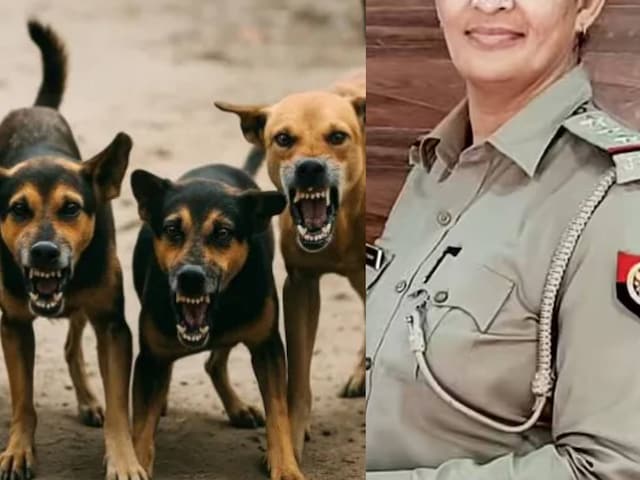 दरोगा रिचा की कुत्‍ते के कारण मौत, क्‍या मिलेगा मुआवजा? क्‍या कहता है कानून