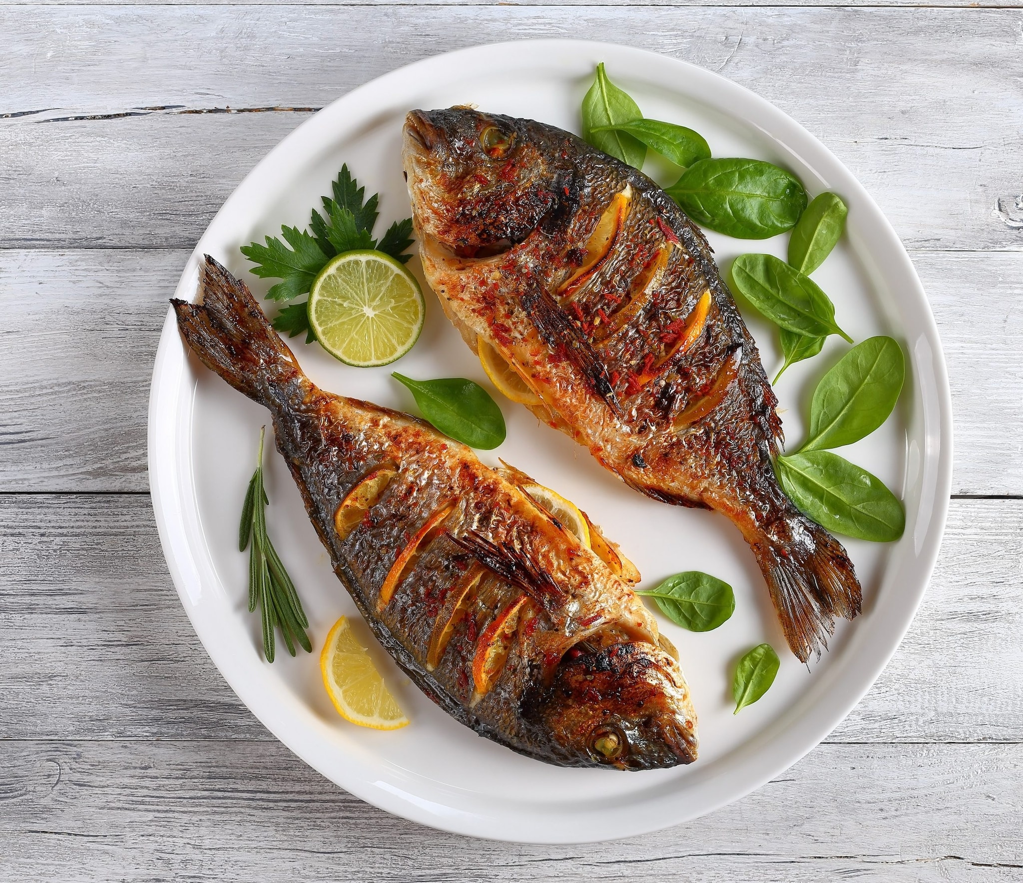 Fish Tips: मछली नहीं, महामछली कहिए.. इलिश और पाबदा छोड़कर खाना शुरू करें