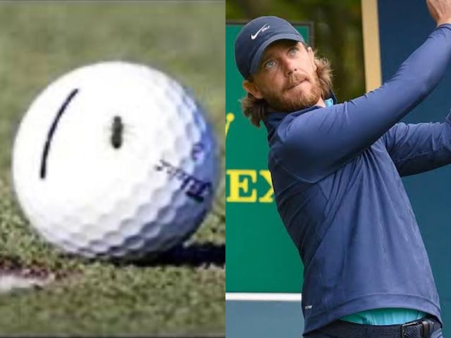 Fly won 17 crores, changed the result of the match by sitting on the ball Fly won 17 crores, changed the result of the match by sitting on the ball