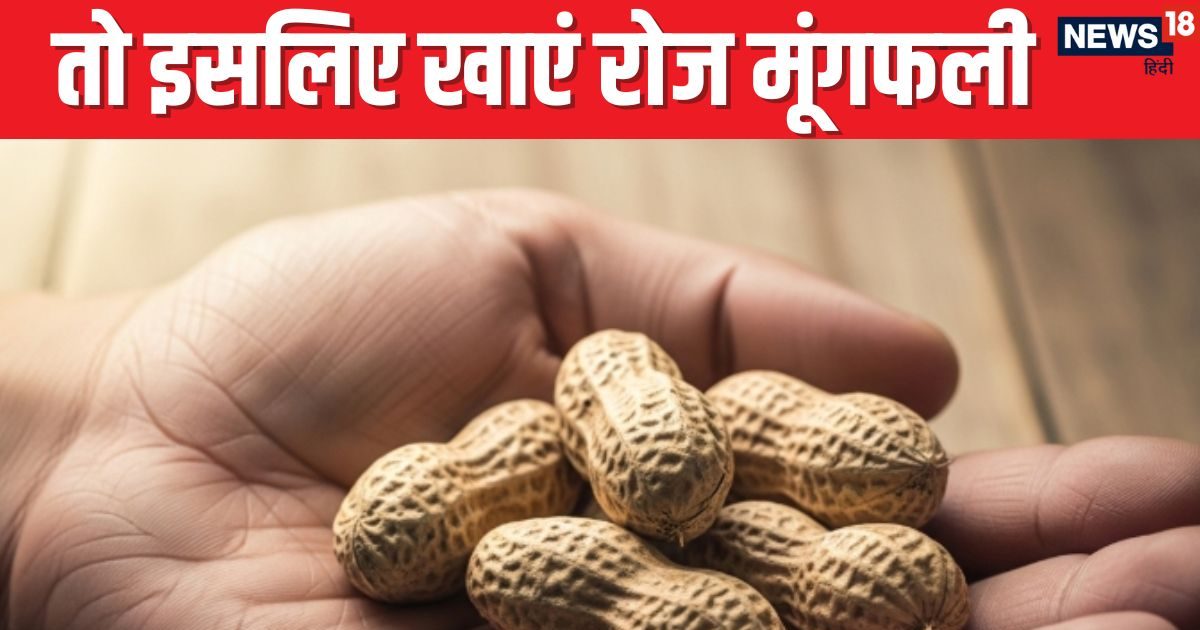 Mungfali Khane Ke Fayde: मूंगफली यानी सेहत का खज़ाना! प्रोटीन-विटामिन्‍स का किलर कॉम्बिनेशन, जानें इसके जबरदस्‍त फायदे