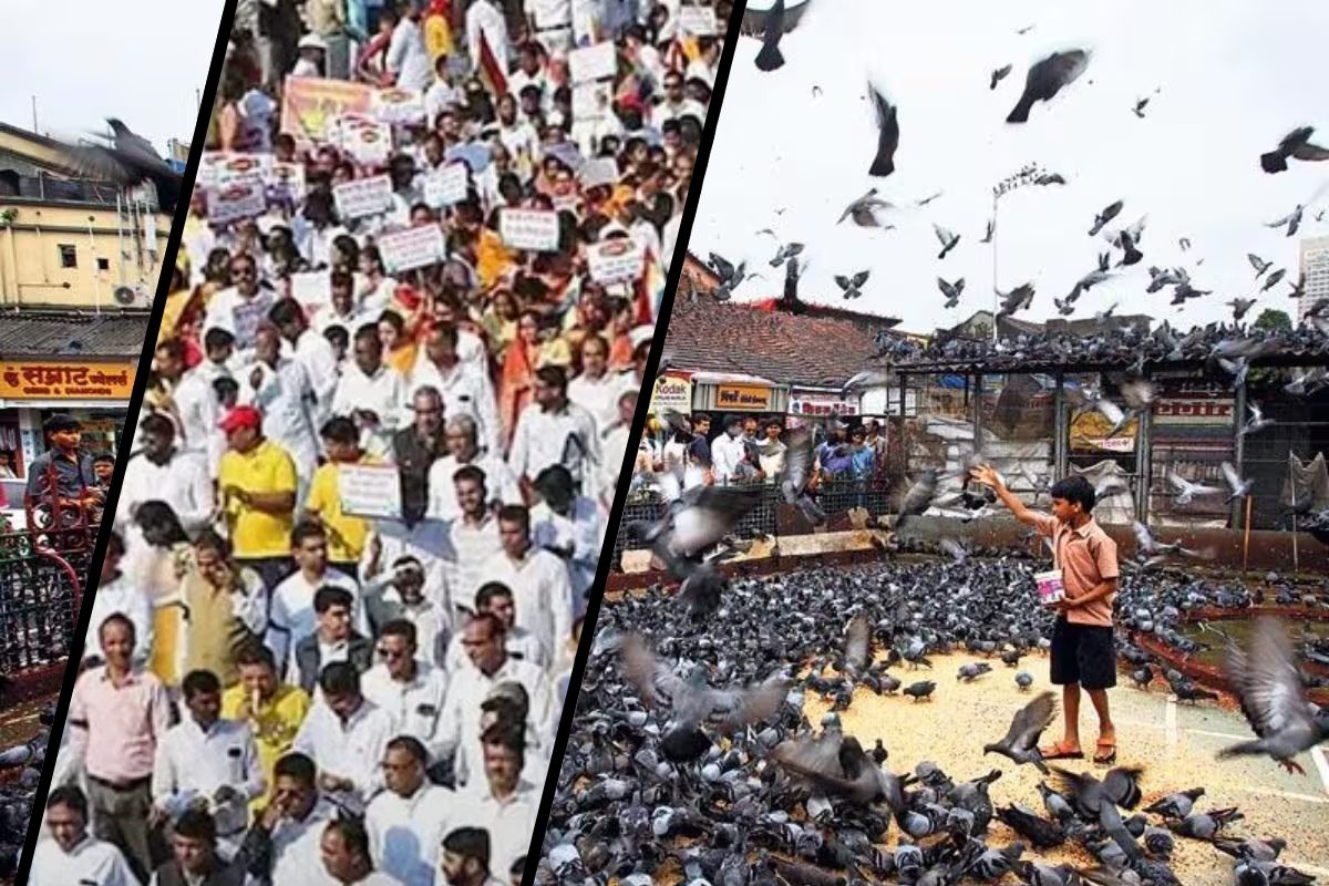 जरूरत पड़ी तो हथियार उठाएंगे..कबूरतखाना विवाद पर भड़के जैन साधु, SC को चेतावनी