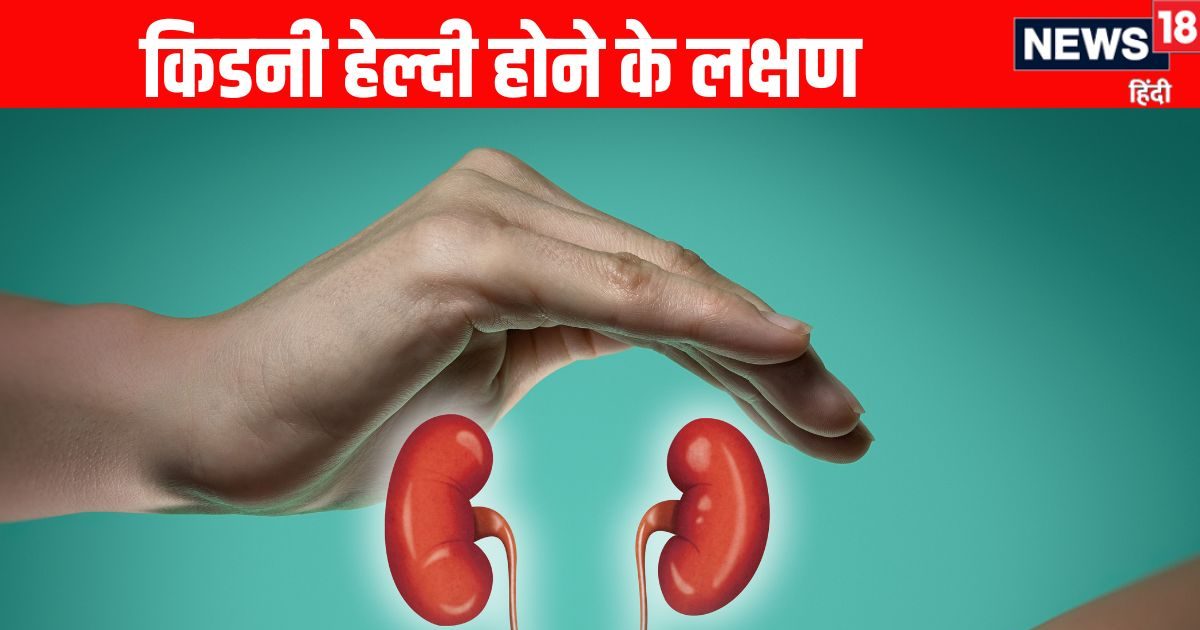 Healthy Kidney: हेल्दी किडनी के 5 संकेत और लक्षण, जो नजर आते हैं आपके शरीर पर, जानें आपकी Kidney कितनी हेल्दी
