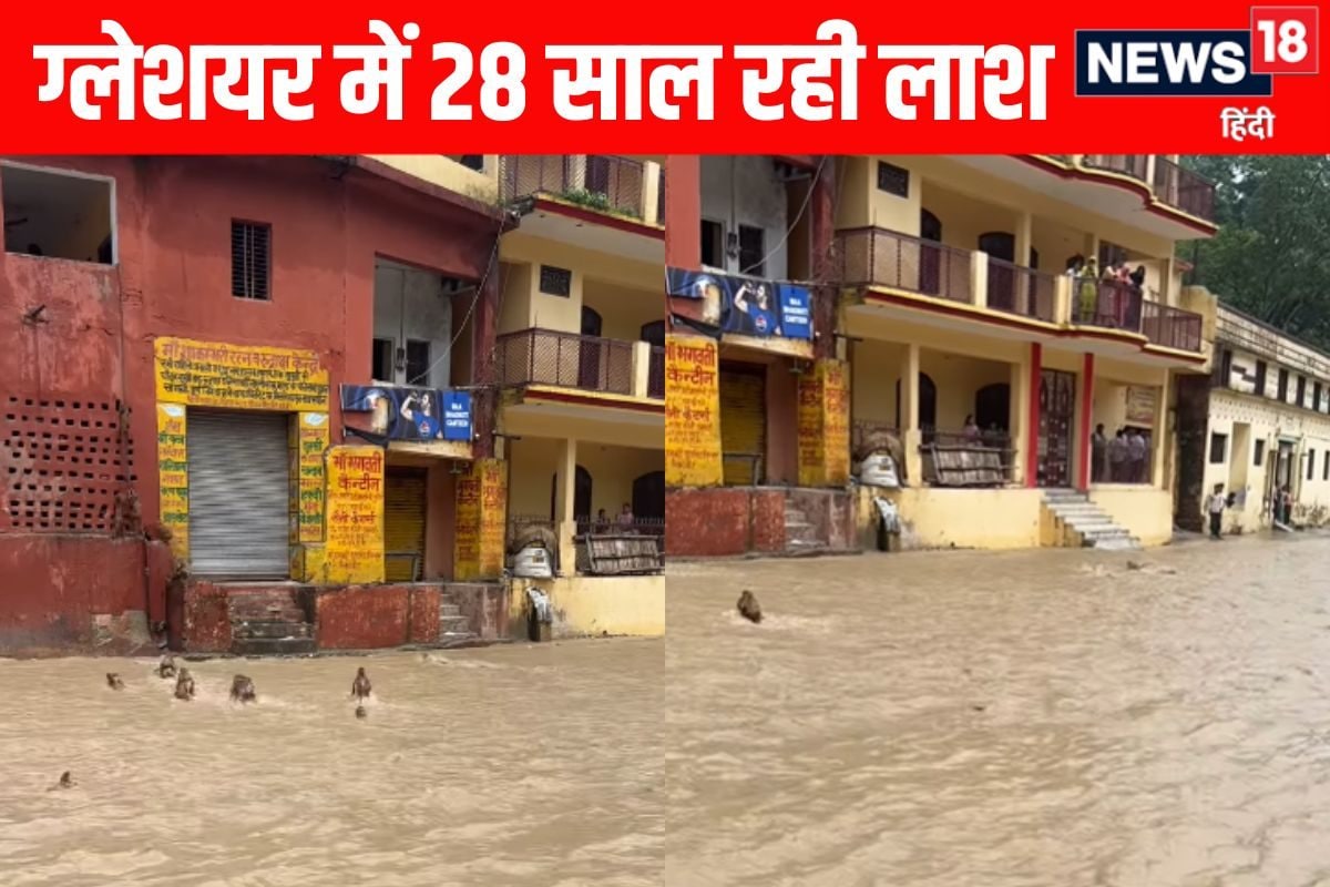 तेज थी नदी की धार, घरों के पास से खूब सारे बहते बंदरों ने किया लोगों को हैरान!