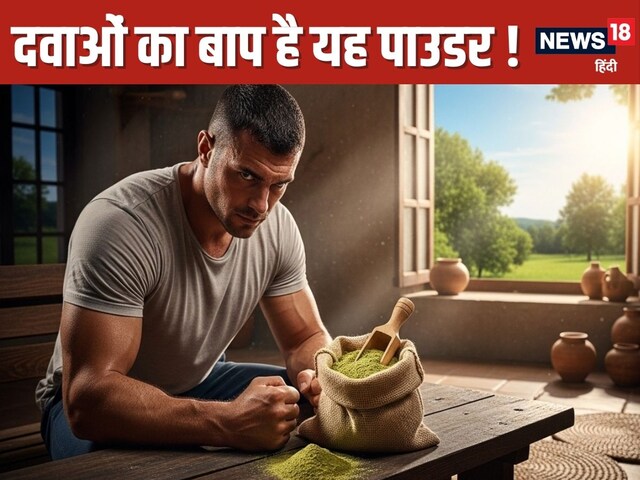 मोरिंगा पाउडर शरीर के लिए चमत्कारी, सैकड़ों बीमारियों का कर देगा नाश