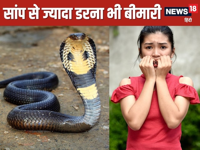 सांप देखकर आपकी भी पैंट हो जाती है गीली? समझिए इस परेशानी का हैं शिकार सांप देखकर आपकी भी पैंट हो जाती है गीली? समझिए इस परेशानी का हैं शिकार