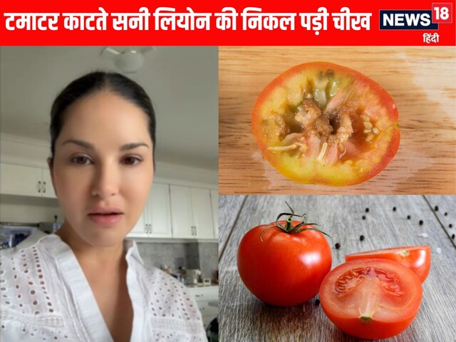 सनी लियोन ने काटे टमाटर, निकल पड़ी चीख, वीडियो वायरल, Tomato खरीदने के 8 टिप्स