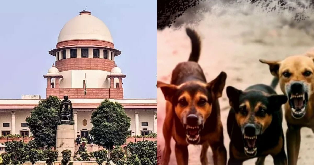 LIVE: आवारा कुत्तों के मामले पर SC नाराज, सभी राज्यों से 3 नवंबर तक मांगा जवाब