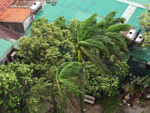 Typhoon Kajiki: तूफान गुजर गया पर बारिश जारी, काजिकी ने ली 8 लोगों की जान