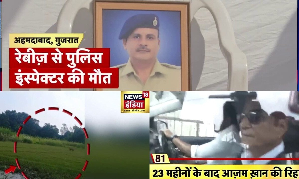 Top News: बहराइच में जंगली जानवर का हमला आजम खान जेल से रिहा गुजरात में इंस्पेक्टर की रेबीज से मौत