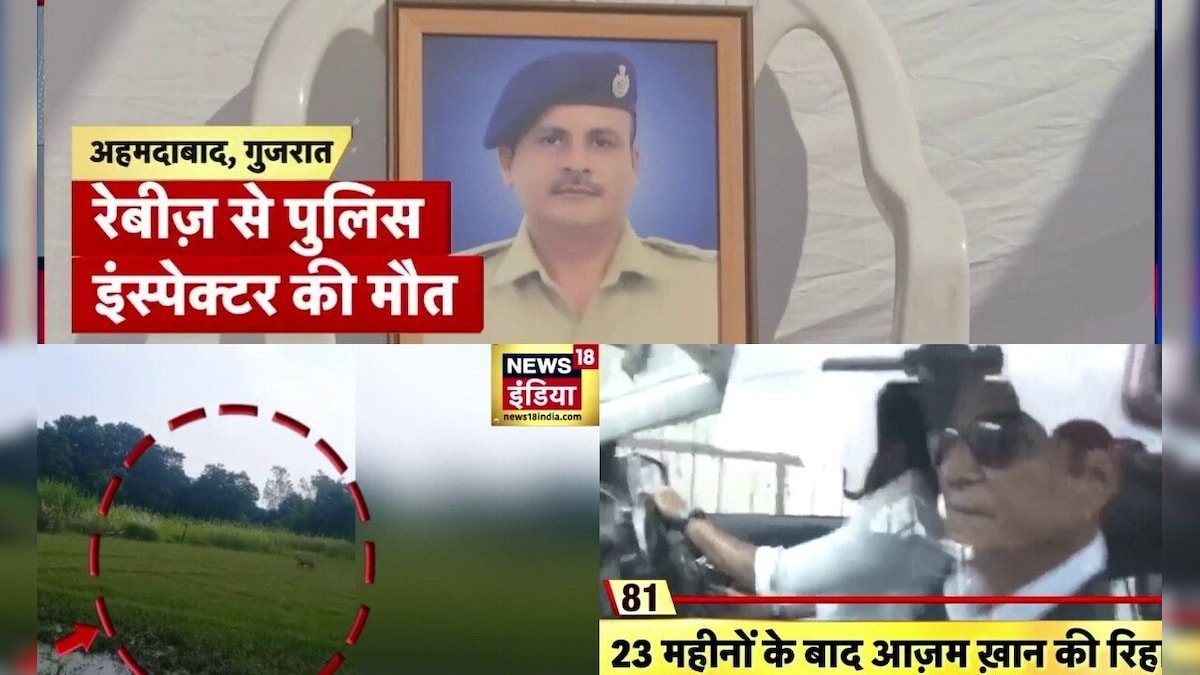 Top News: बहराइच में जंगली जानवर का हमला, आजम खान जेल से रिहा, गुजरात में इंस्पेक्टर की रेबीज से मौत