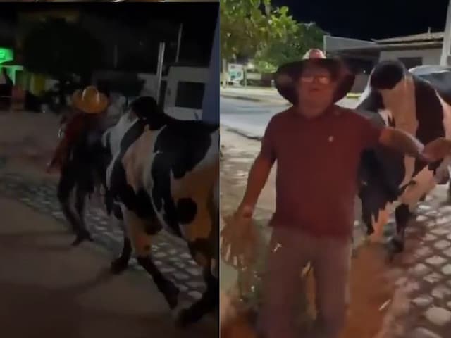 The owner was lying somewhere, the bull came to take home, started doing such action …… The owner was lying somewhere, the bull came to take home, started doing such action ……