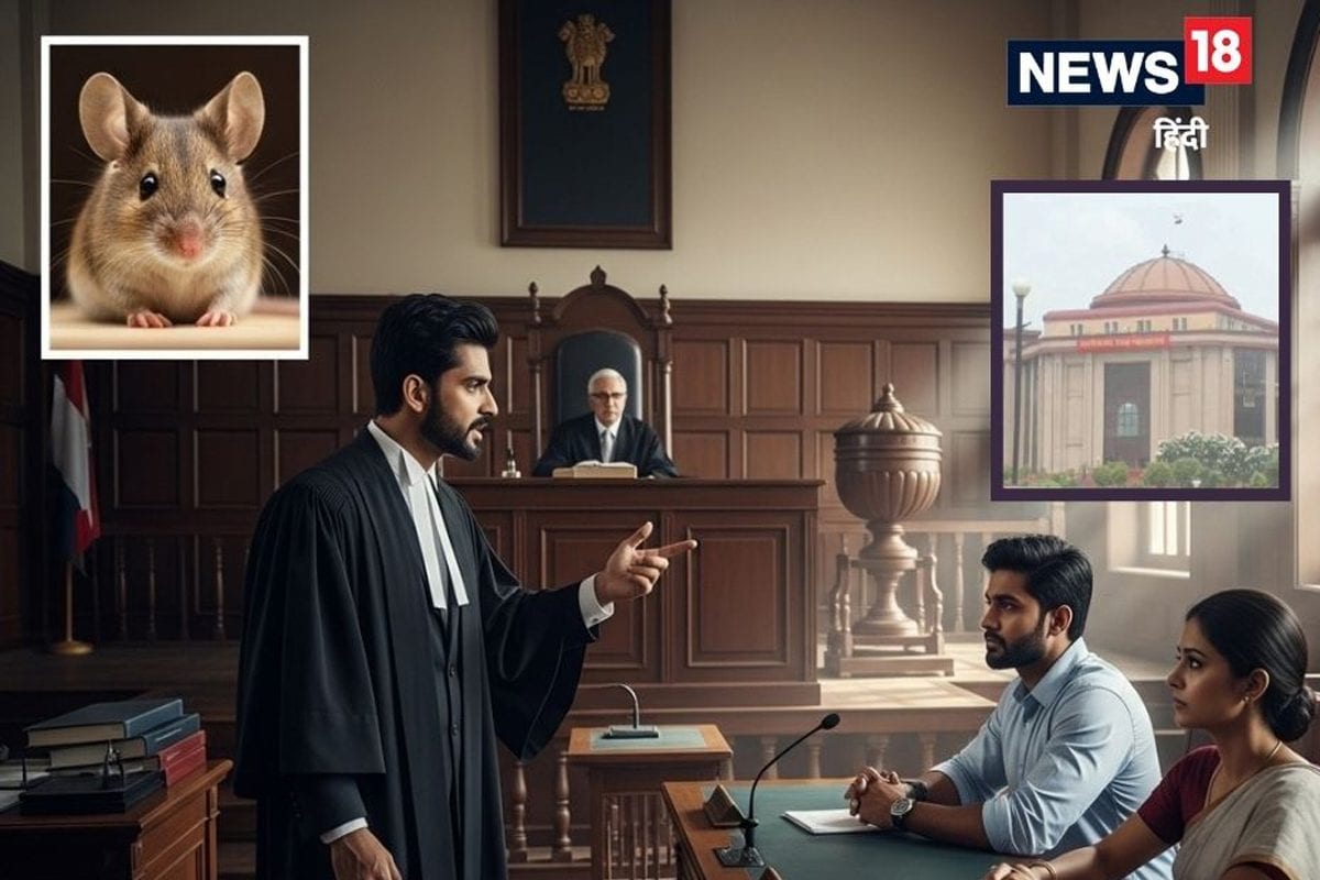 पति को पालतू चूहा कहना, ससुराल से अलग रहने की जिद पत्नी की मानसिक क्रूरता: HC