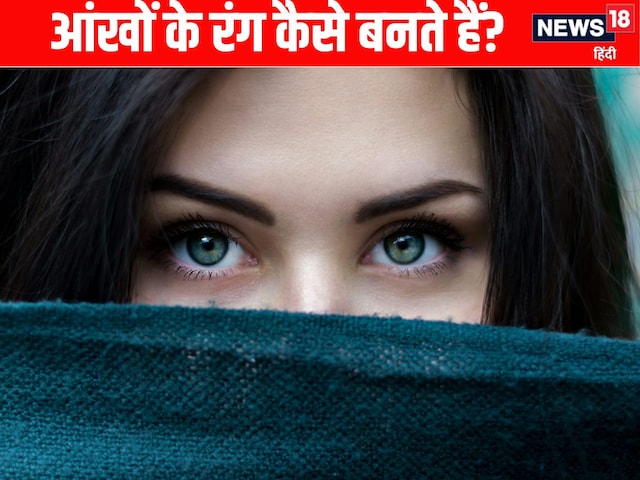 Blue, green, brown or ... know how the color of the eye is decided, understand with science